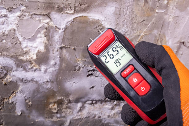 Best Kitchen Mold Remediation in Lake Brownwood, TX