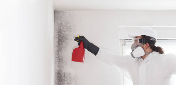 Best Commercial Mold Remediation in Lake Brownwood, TX