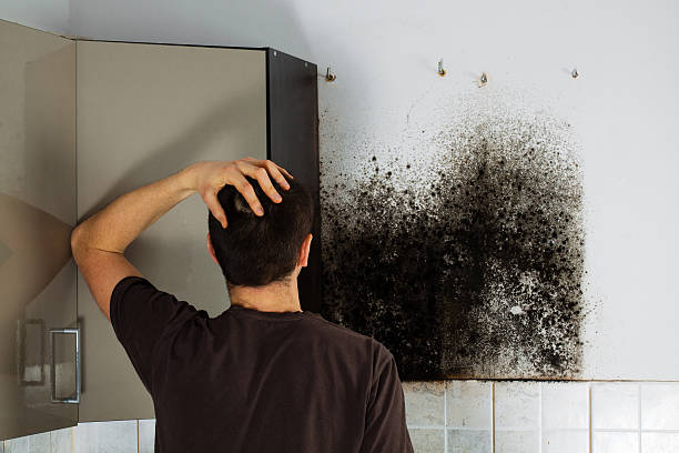 Best Bathroom Mold Remediation in Lake Brownwood, TX